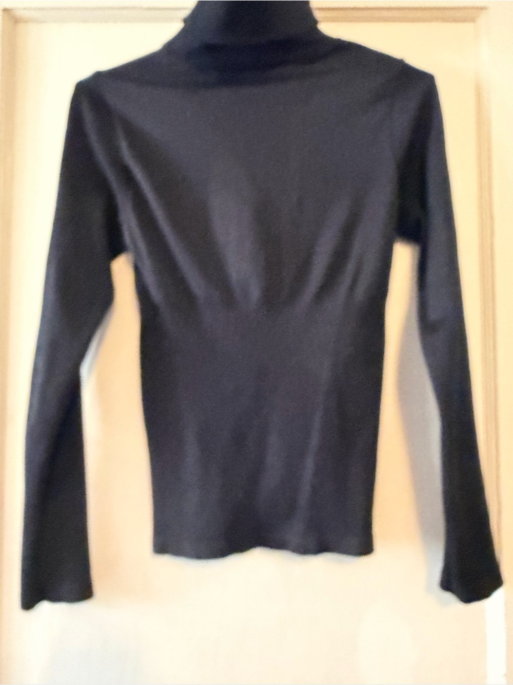 Southern Living Black Long-Sleeve Turtleneck Top